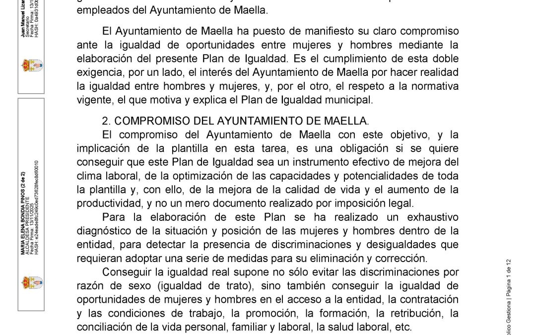 PLAN DE IGUALDAD DEL AYUNTAMIENTO DE MAELLA